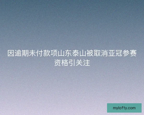 因逾期未付款项山东泰山被取消亚冠参赛资格引关注