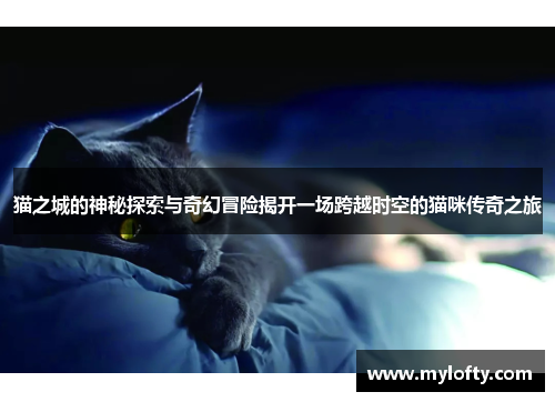 猫之城的神秘探索与奇幻冒险揭开一场跨越时空的猫咪传奇之旅