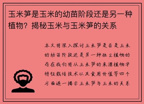 玉米笋是玉米的幼苗阶段还是另一种植物？揭秘玉米与玉米笋的关系